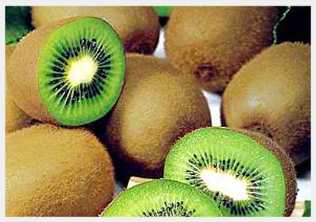 Kiwi.jpg
