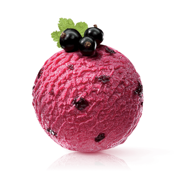blackcurrant-modified.png